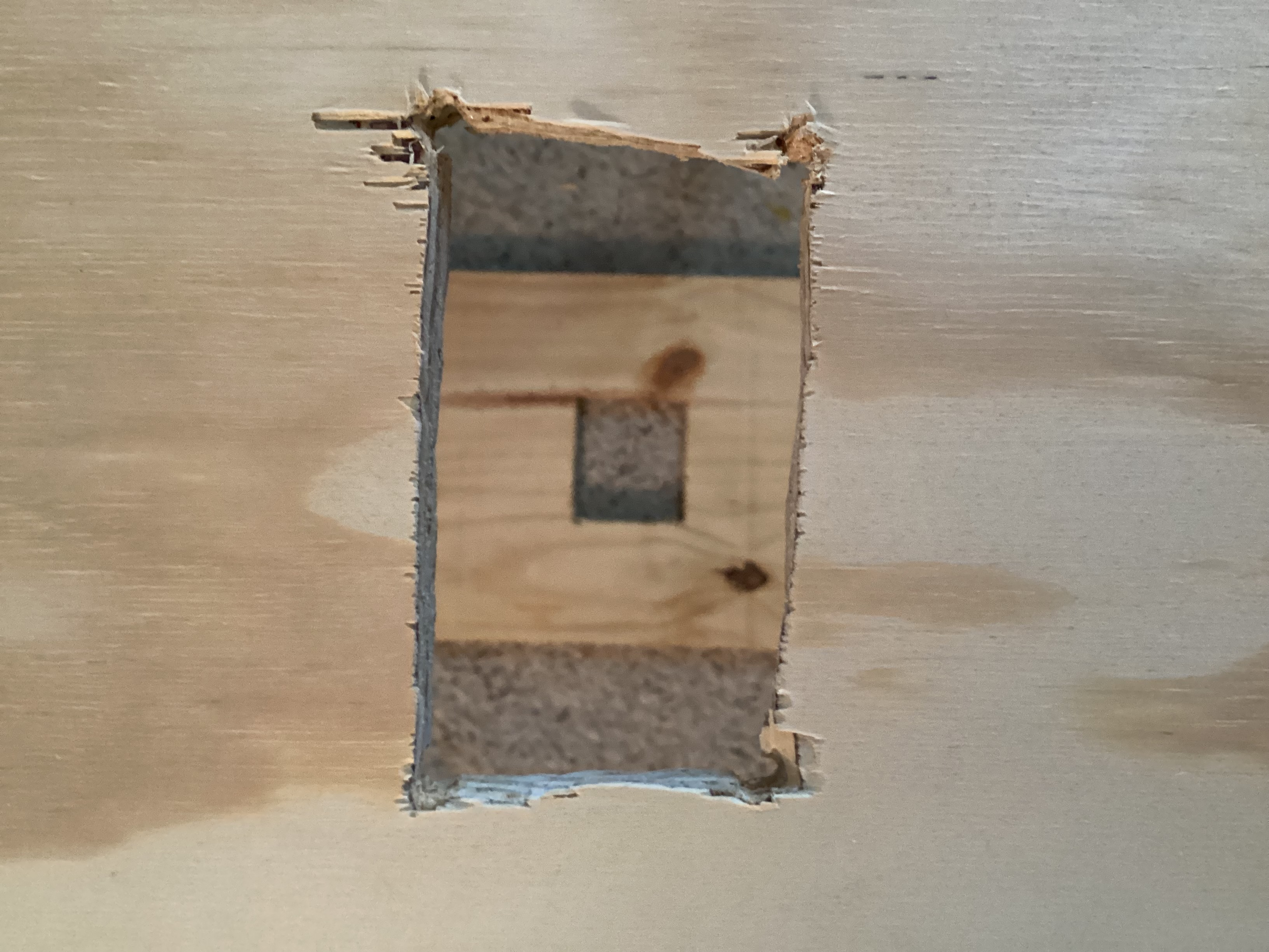 window with curved and splintered edges